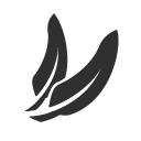feathers icon